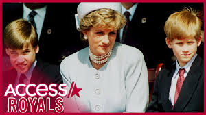 William and harry finally unite as they walk together after duke's funeral. Prince Harry Prince William To Split Princess Diana Memorial Funds Access