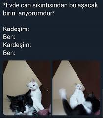 Canim Kardesim 2020 Komik Seyler Komik Goruntuler Komik