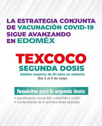 Las primeras vacunas que llegarán a méxico son en total 125 mil entre biontech y pfizer, esta última necesita estar almacenada a una temperatura de. Gobierno Del Estado De Mexico On Twitter A Partir De Hoy Y Hasta El 5 De Mayo Acude Por La Segunda Dosis De La Vacuna Contra Covid 19mx En Texcoco Consulta Modulos De