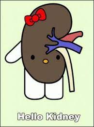 Pin De Tony Jonguitud En I Lol D Humor De Enfermera Humor Grafico Donacion De Organos