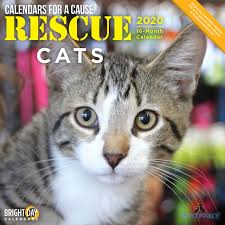 Check out our 2020 cat calendar selection for the very best in unique or custom, handmade pieces from our calendars & planners shops. Small Changes 2020 Rescue Cats Calendar 1 Ea 9781684602025 Amazon Com Books