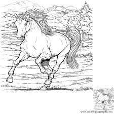 Coloring pages for adults ly. Coloring Page Of A Realistic Running Horse