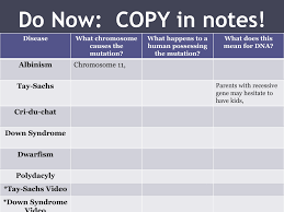 Do Now Copy In Notes