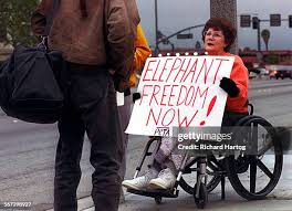 23 Reid Mchenry Stock Photos, High-Res Pictures, and Images