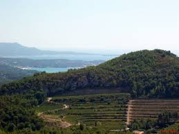 Oenotheque Vins De Bandol Maison Des Vins Du Bandol Accueil Maison Des Vins Saint Raphael Bormes Les Mimosas