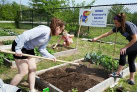 Canvass your neighborhood to find out who's interested. 10 Practical Steps To Help You Start A Community Garden Greenability Magazine