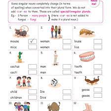 Cat ⇒ cats truck ⇒ trucks bug ⇒ bugs: English Worksheets Grade 1 Chapter Nouns Key2practice Workbooks