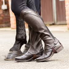 Image result for Brown 2025 Fleet