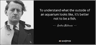 'restoring responsibility and accountability is essential to the economic and fiscal.' Top 25 Aquariums Quotes Of 121 A Z Quotes