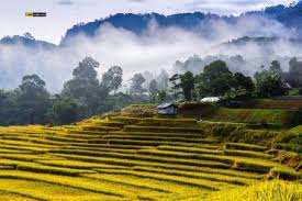 ทัวร์เชียงใหม่ 2564 เที่ยวทัวร์เชียงใหม่ สนุก สบายสุด ดูแลโดยไกด์น่ารัก ใจดี พักสบาย กินร้านอร่อย ประสบการ์ณมากกว่า 22 พาคุณเที่ยวไฮไลต์ดังของ. à¸— à¹€à¸— à¸¢à¸§à¹€à¸Š à¸¢à¸‡à¹ƒà¸«à¸¡ Cm Expert