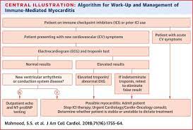 Myocarditis is an inflammation of the heart muscle. Myocarditis In Patients Treated With Immune Checkpoint Inhibitors Sciencedirect