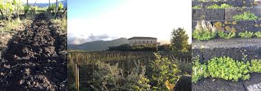 Maybe you would like to learn more about one of these? Fotoreise Sizilien Randazzo Etna Catania Siracusa Ortigia