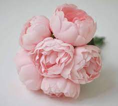 Nordic light pink peonies flowers canvas paintings gallery modern romantic posters print wall art bedroom wall poster unframed khoaidashop. 6pcs Silk Peonies Blush Pink Peonies Light Pink Bridesmaid Peonies Bouquets Pink Wedding Flowers Silk Flowers Not Real Touch Silk Peonies Real Touchsilk Flowers Aliexpress