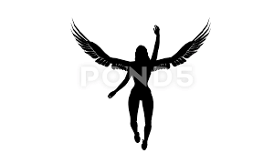 Description this design is intended to be cut with an electronic cutting machine. Black Silhouette Of A Girl Angel Alpha Stock Video Pond5