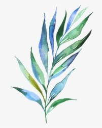 Check spelling or type a new query. Watercolor Leaves Png Images Free Transparent Watercolor Leaves Download Kindpng