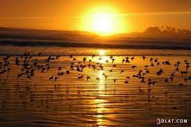 صور غروب الشمس 2019 احلى صور لغروب الشمس غروب الشمس 2019 صور 2019 للغروب Sunrise Beach Sunrise Sunset Sunset