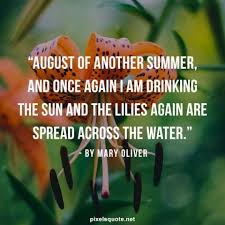 Quotes from famous authors, movies and people. August Quotes In The Summer Pixelsquote Net