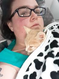 How to help kitty gain weight?