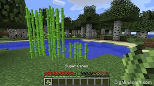 Add Sugar Canes To Your Inventory In Minecraft And More Materials Minecraft Tutorial Sugar Cane Minecraft