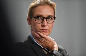 Afd top candidate weidel speaks on her homosexuality during rallycredit: Alice Weidel Afd Spendenaffare Zieht Weitere Kreise Baden Wurttemberg Stuttgarter Nachrichten