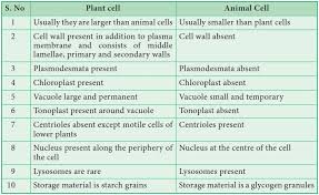 However, there are several significant differences between these two cell types. What Are The 5 Differences Between Plant And Animal Cells