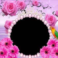 Everyone wants to start a day with a beautiful and fresh mind. Flower Insta Dp For Android Apk Download