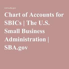 Chart Of Accounts For Sbics The U S Small Business