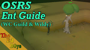 In this video, i will show you on what gear/items to bring so you can. Osrs Solo Saradomin Guide Old School Runescape How I Fight Sara Solo Youtube