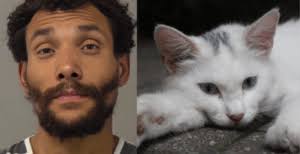Sign: Man Strangles Cat-Attempts To Burn Her Face With Blowtorch