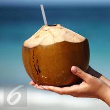 Keput1han saya semakin hilang setelah mengamalkan nenas batu !! Rutin Minum Air Kelapa Apa Manfaatnya Bagi Tubuh Lifestyle Liputan6 Com