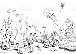 Underwater Graphic Sea Black White Sketch Illustration Vector Stock  Illustration - Download Image Now - Istock