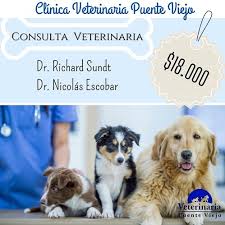 Clínica Veterinaria Puente Viejo