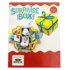 Pidilite Surprise Box