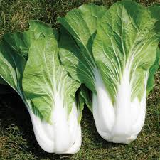 Harvest from early spring to early summer. Bopak Pak Choi Vegetables Veseys