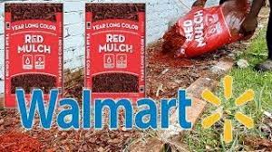 Pay just $10.00 or more on anything you want and get $10.00 cash back. Trying Red Mulch From Walmart Youtube
