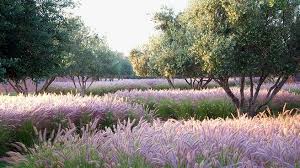 Rooms With A View In 2020 Landscape Design Garden Landscape Design Beautiful Gardens