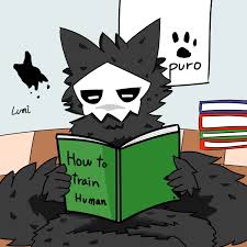 Check spelling or type a new query. Pin On Changed Owo