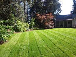 Rather than being a nuisance lawn weed, clover can microclover (trifolium repens var. How To Grow Microclover Eartheasy Guides Articles Eartheasy Guides Articles