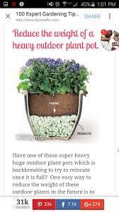 Lighten Pots Container Gardening Container Gardening Flowers Plants