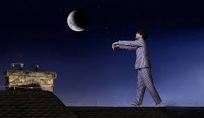 Image result for Parasomnia