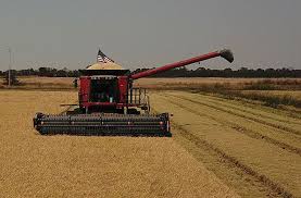 A California Legacy and Collaboration