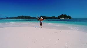 If i dont, i will explore the island. Foxyandbunny
