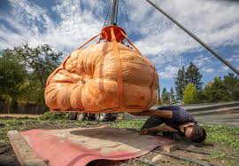 Image result for giant pumpkin