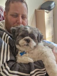 Saddle Club Award Night Celebration