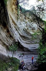 En más de 20.000 hectáreas se pueden encontrar varias rutas de senderismo y.más información. Bosque De La Primavera Guadalajara 2021 Lo Que Se Debe Saber Antes De Viajar Tripadvisor