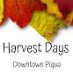 Harvest Fest