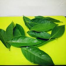 Daun salam biasanya menjadi salah satu bumbu penyedap bagi masakan. Bay Leaf Daun Salam Shopee Malaysia