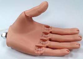 The Most Realistic 3d Printed Prosthetic Hand Yet Steve Wood S Flexy Hand Filaflex Remix Http 3dprint Com 57613 Prosthetics 3d Printing 3d Printed Objects