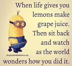 More images for when life throws you lemons quotes » If Life Gives You Lemons Funny Quotes Quotesgram