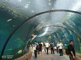 珠海橫琴長隆海洋王國、國際大馬戲團- 打油诗旅人Morgan